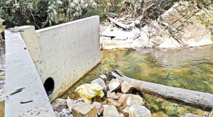 Dam-built-on-Anda-Dola-c-Rainforest-Protectors